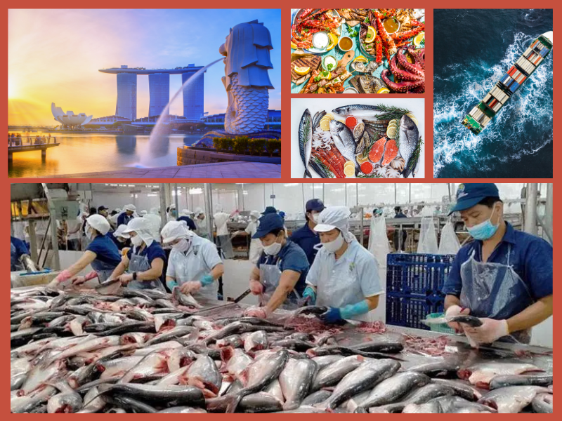 Trang Thông Tin Xuất Nhập Khẩu IMEX NEWS