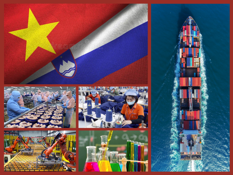 Trang Thông Tin Xuất Nhập Khẩu IMEX NEWS