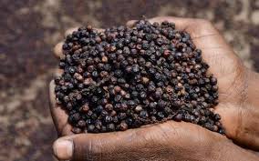 Trang Thông Tin Xuất Nhập Khẩu IMEX NEWS