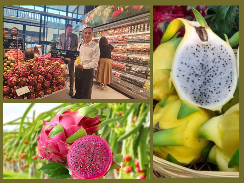 Trang Thông Tin Xuất Nhập Khẩu IMEX NEWS