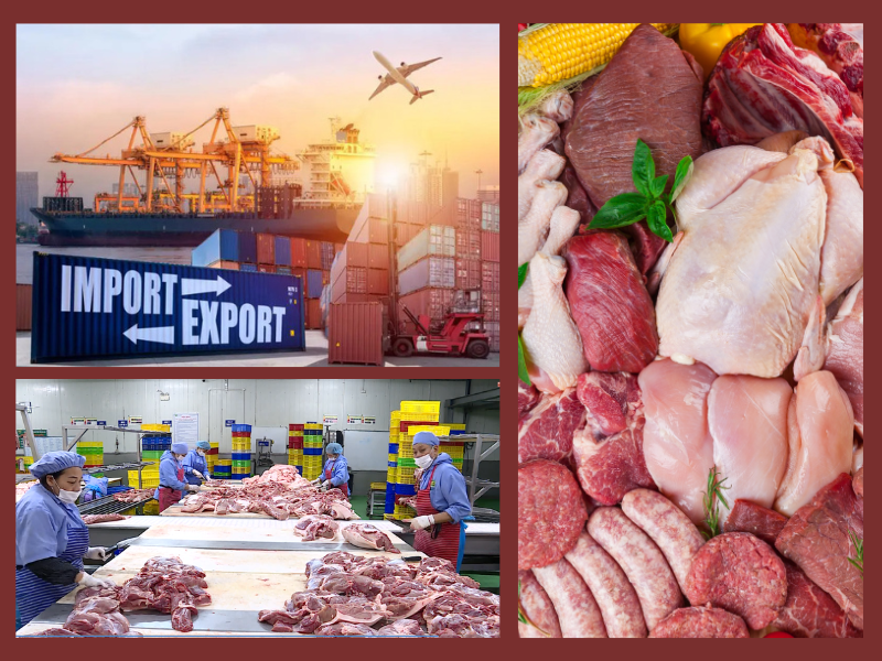 Trang Thông Tin Xuất Nhập Khẩu IMEX NEWS