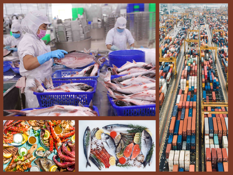 Trang Thông Tin Xuất Nhập Khẩu IMEX NEWS