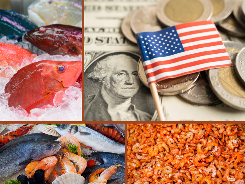 Trang Thông Tin Xuất Nhập Khẩu IMEX NEWS