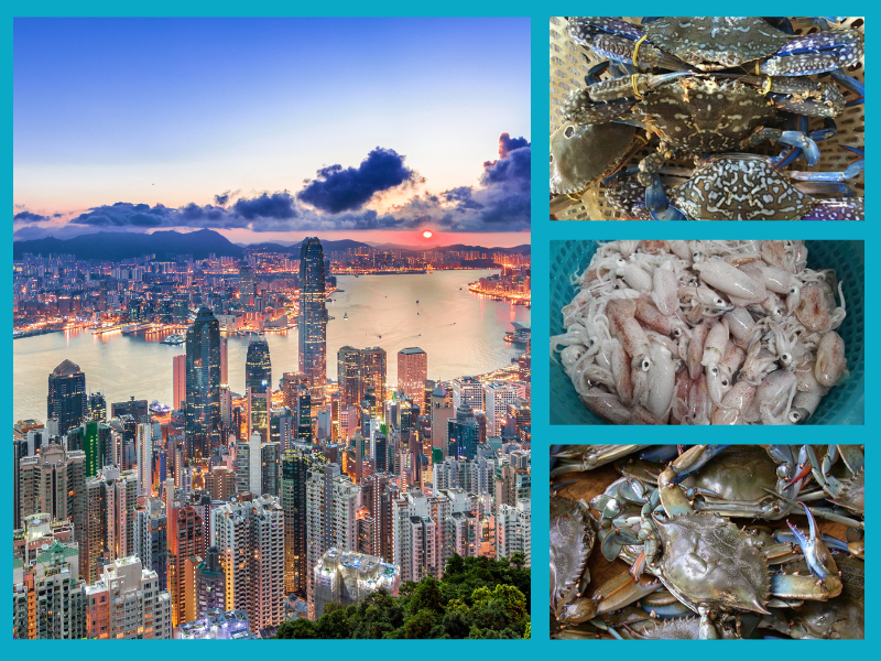 Trang Thông Tin Xuất Nhập Khẩu IMEX NEWS