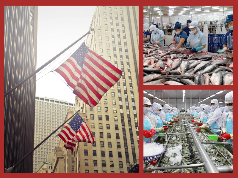 Trang Thông Tin Xuất Nhập Khẩu IMEX NEWS