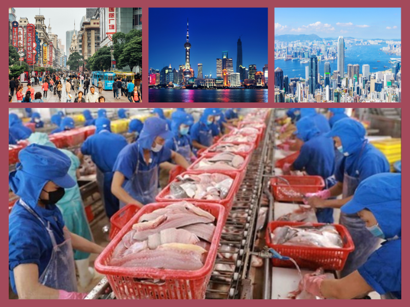 Trang Thông Tin Xuất Nhập Khẩu IMEX NEWS