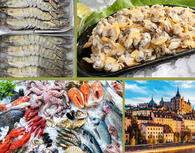 Trang Thông Tin Xuất Nhập Khẩu IMEX NEWS