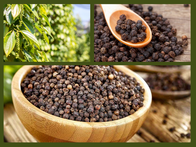 Trang Thông Tin Xuất Nhập Khẩu IMEX NEWS