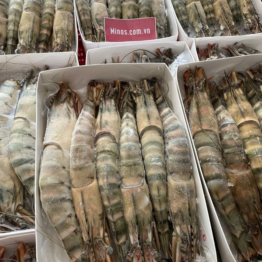 Trang Thông Tin Xuất Nhập Khẩu IMEX NEWS