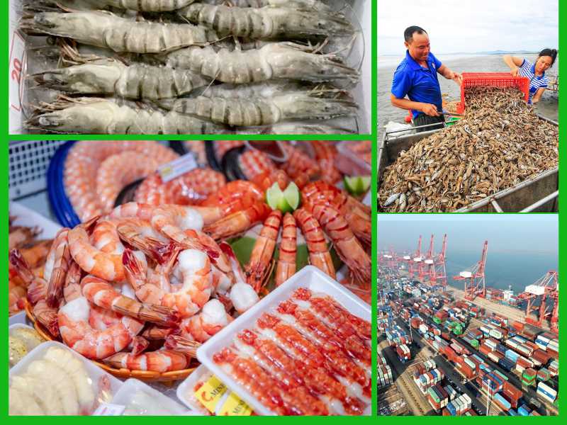 Trang Thông Tin Xuất Nhập Khẩu IMEX NEWS