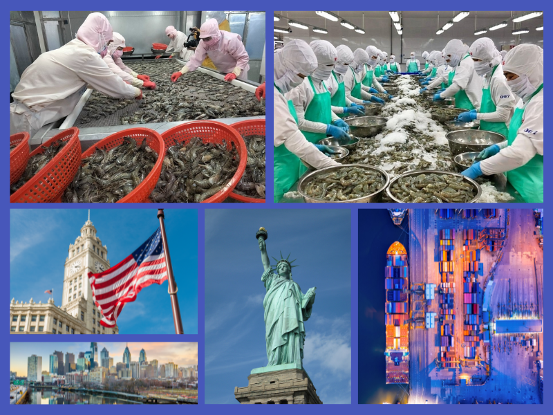 Trang Thông Tin Xuất Nhập Khẩu IMEX NEWS