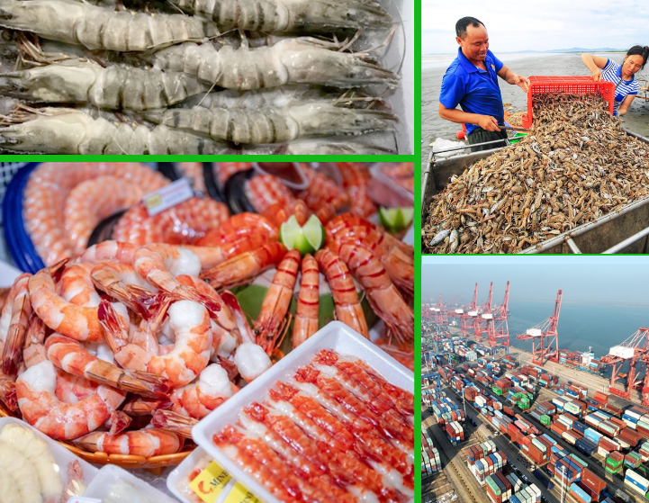 Trang Thông Tin Xuất Nhập Khẩu IMEX NEWS