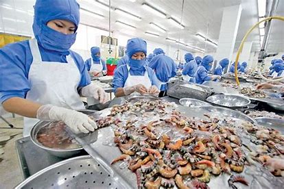 Trang Thông Tin Xuất Nhập Khẩu IMEX NEWS