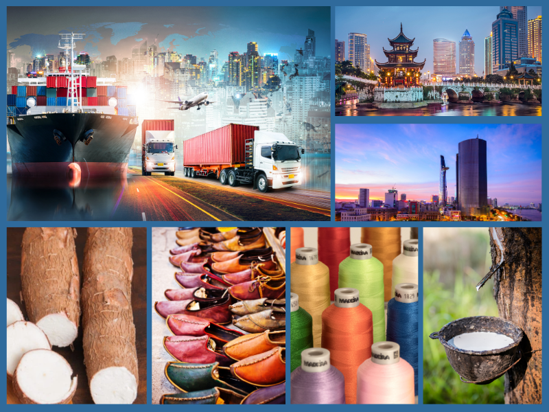 Trang Thông Tin Xuất Nhập Khẩu IMEX NEWS