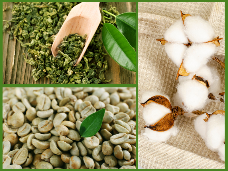 Trang Thông Tin Xuất Nhập Khẩu IMEX NEWS