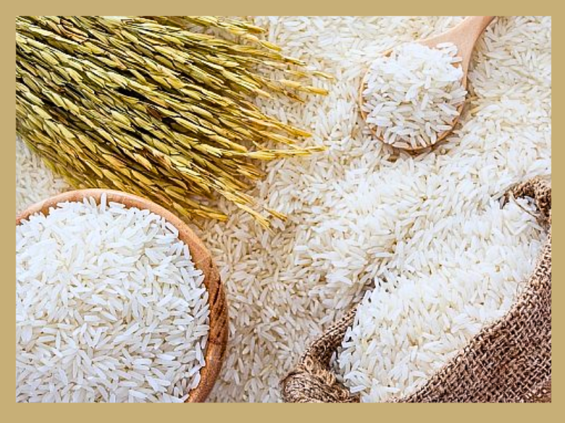 Trang Thông Tin Xuất Nhập Khẩu IMEX NEWS