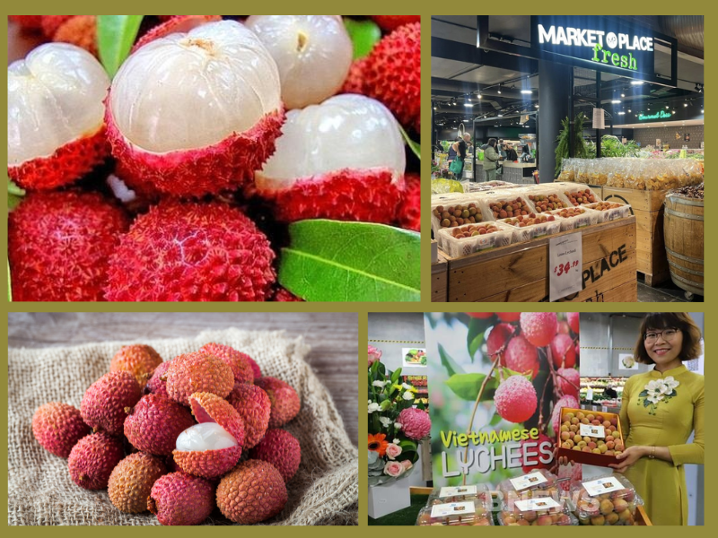 Trang Thông Tin Xuất Nhập Khẩu IMEX NEWS