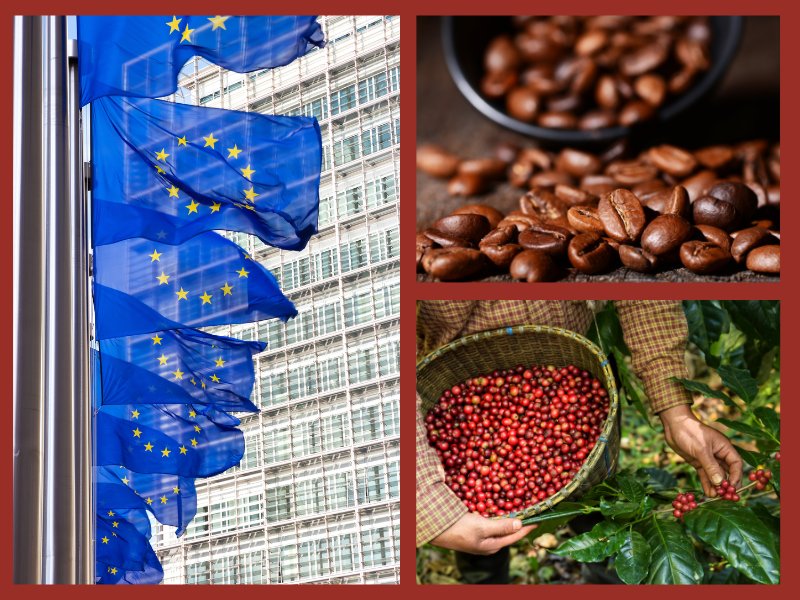 Trang Thông Tin Xuất Nhập Khẩu IMEX NEWS