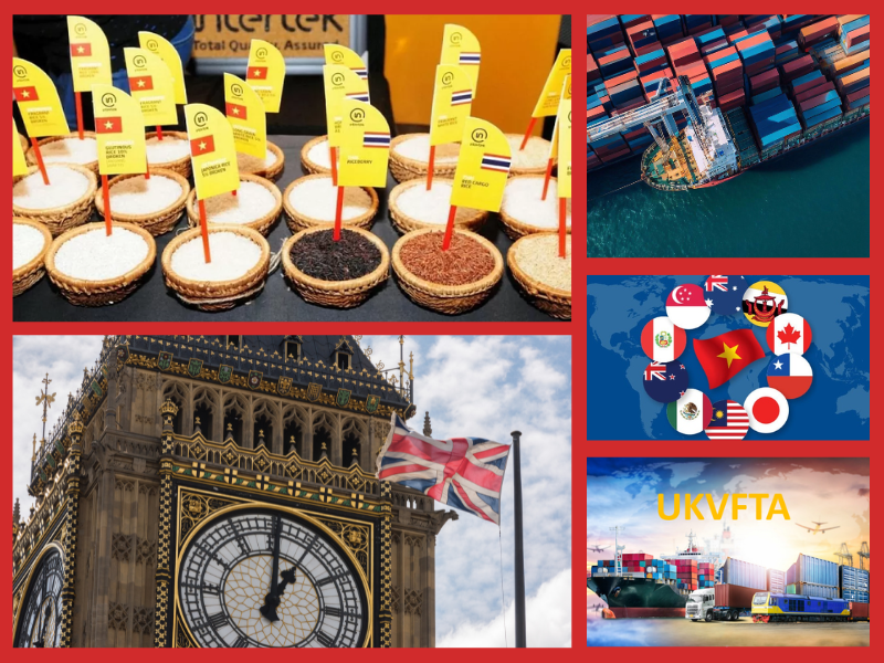 Trang Thông Tin Xuất Nhập Khẩu IMEX NEWS