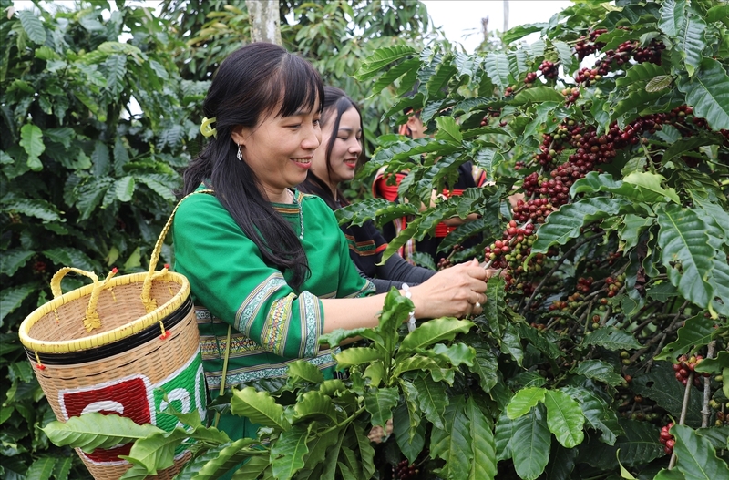 Trang Thông Tin Xuất Nhập Khẩu IMEX NEWS