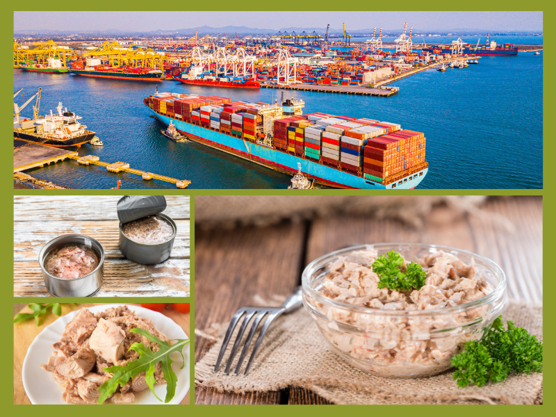 Trang Thông Tin Xuất Nhập Khẩu IMEX NEWS