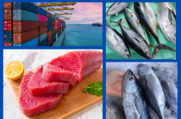 Trang Thông Tin Xuất Nhập Khẩu IMEX NEWS