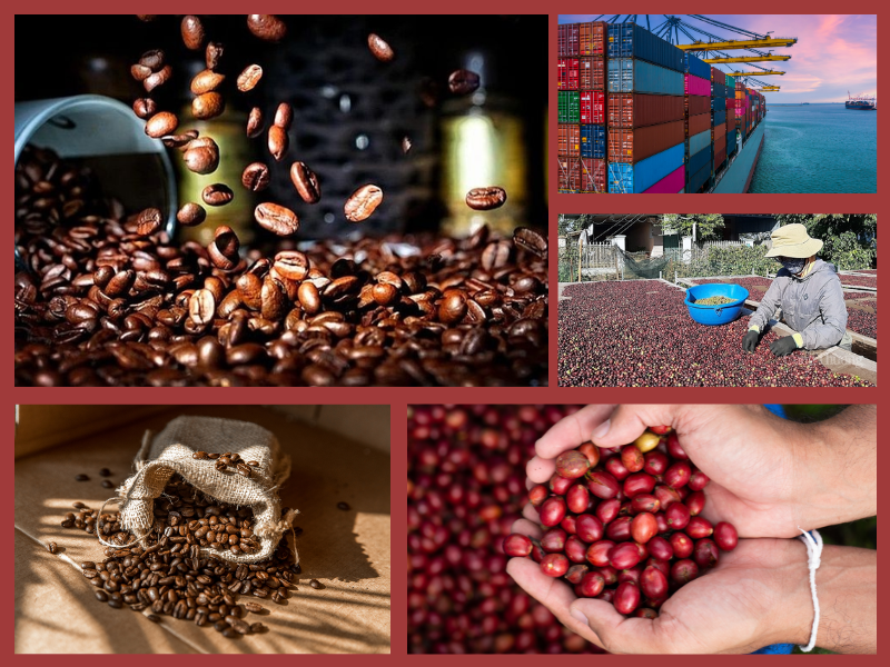 Trang Thông Tin Xuất Nhập Khẩu IMEX NEWS