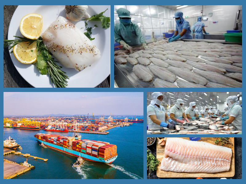 Trang Thông Tin Xuất Nhập Khẩu IMEX NEWS