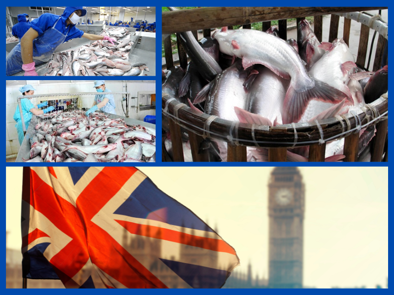 Trang Thông Tin Xuất Nhập Khẩu IMEX NEWS