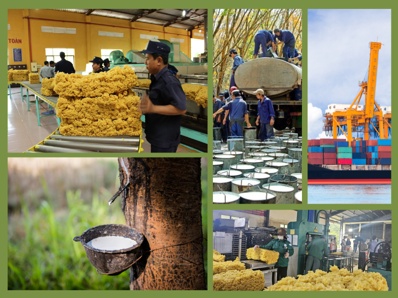 Trang Thông Tin Xuất Nhập Khẩu IMEX NEWS