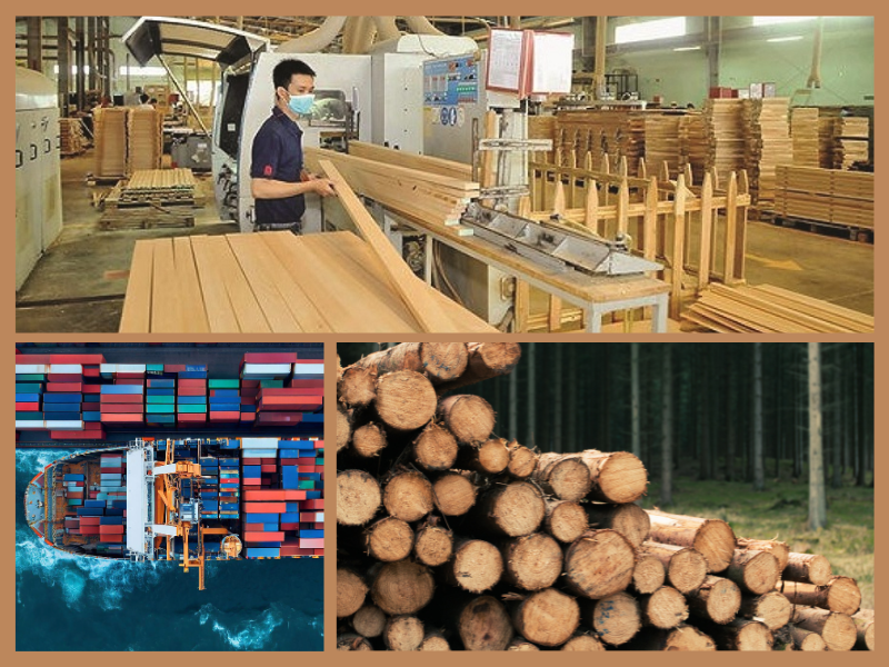 Trang Thông Tin Xuất Nhập Khẩu IMEX NEWS