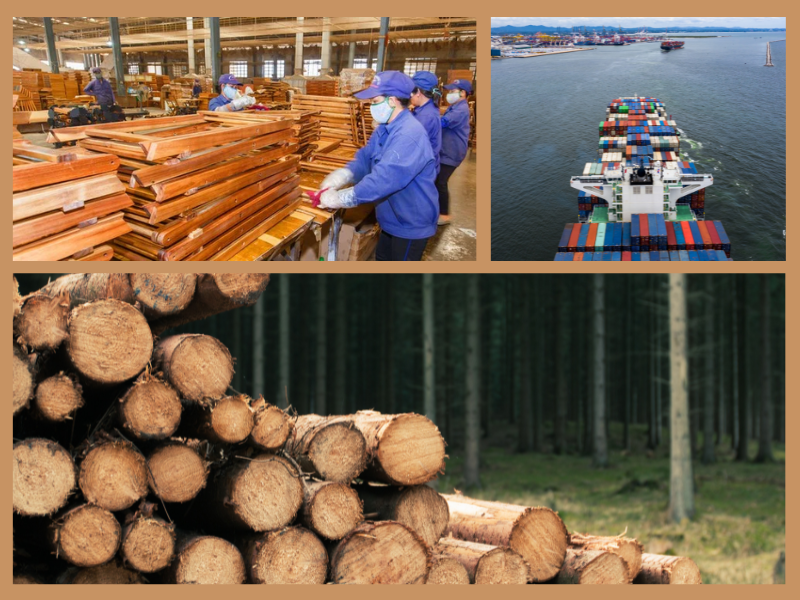 Trang Thông Tin Xuất Nhập Khẩu IMEX NEWS