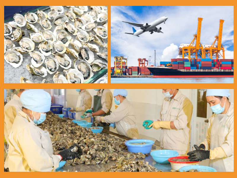 Trang Thông Tin Xuất Nhập Khẩu IMEX NEWS