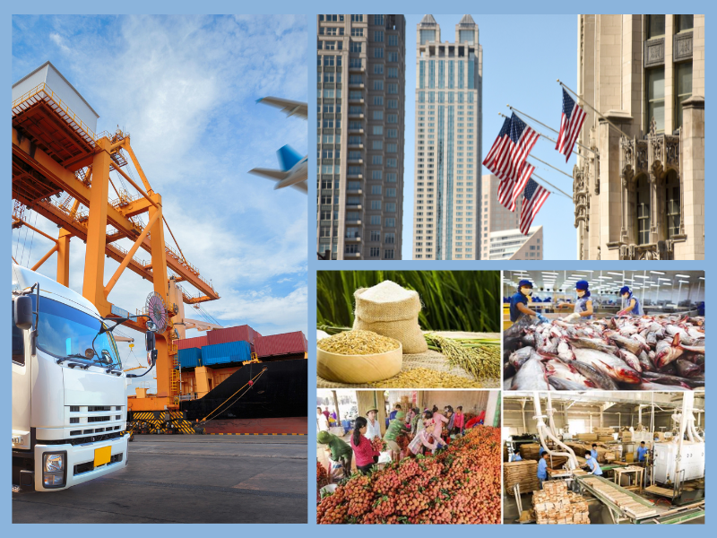 Trang Thông Tin Xuất Nhập Khẩu IMEX NEWS