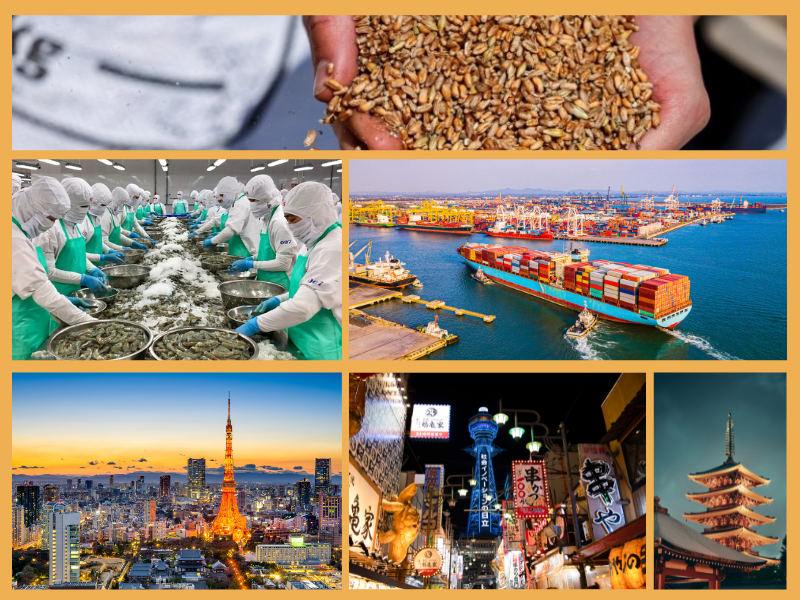 Trang Thông Tin Xuất Nhập Khẩu IMEX NEWS