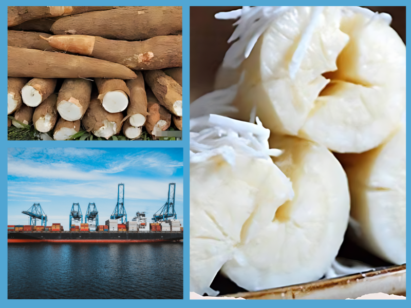 Trang Thông Tin Xuất Nhập Khẩu IMEX NEWS