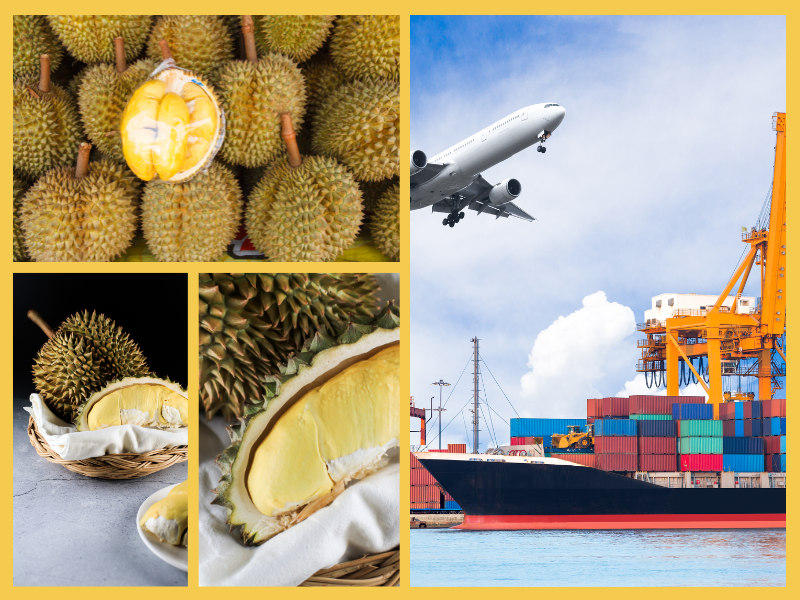 Trang Thông Tin Xuất Nhập Khẩu IMEX NEWS