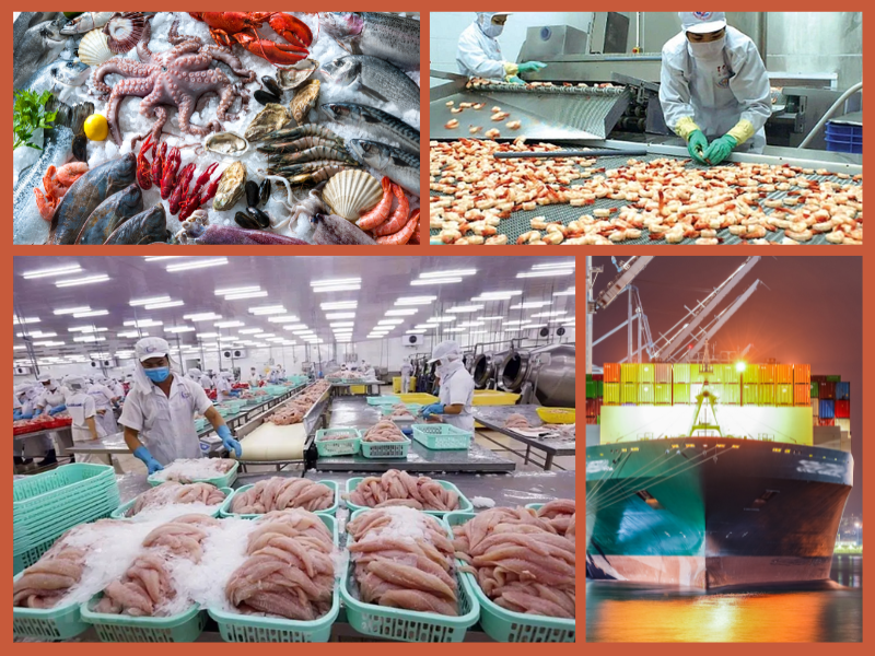 Trang Thông Tin Xuất Nhập Khẩu IMEX NEWS