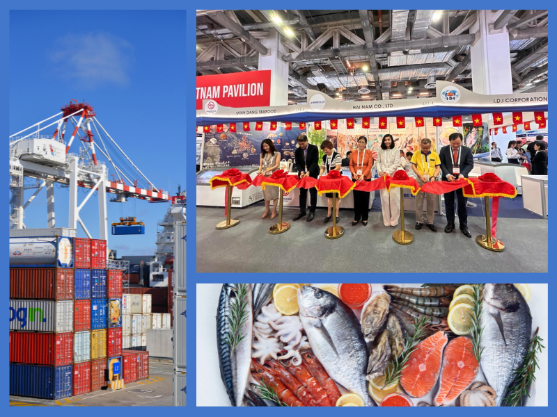 Trang Thông Tin Xuất Nhập Khẩu IMEX NEWS