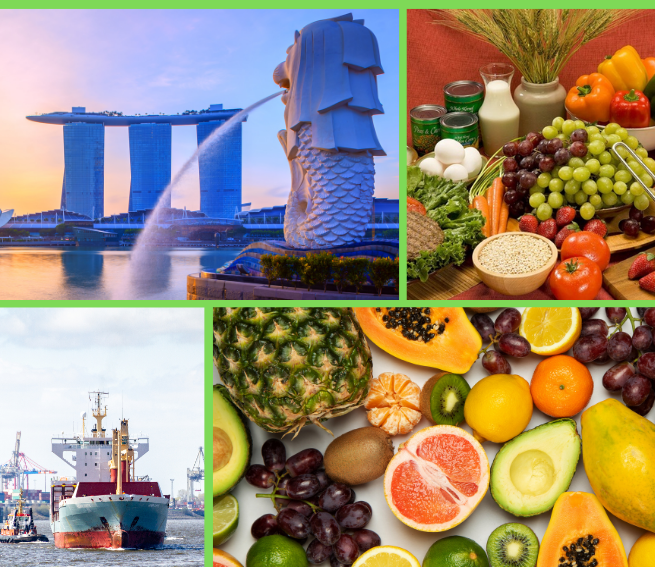 Trang Thông Tin Xuất Nhập Khẩu IMEX NEWS