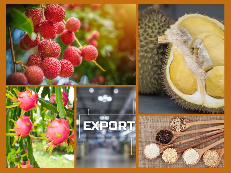 Trang Thông Tin Xuất Nhập Khẩu IMEX NEWS