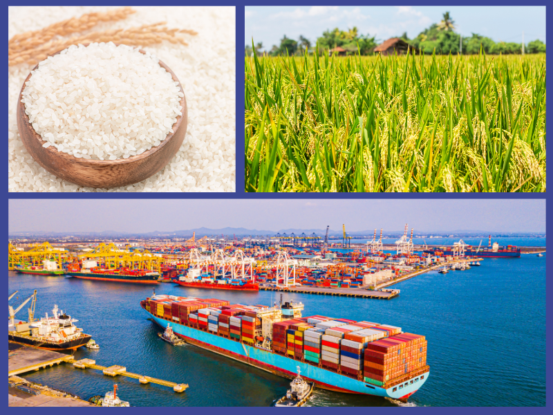 Trang Thông Tin Xuất Nhập Khẩu IMEX NEWS