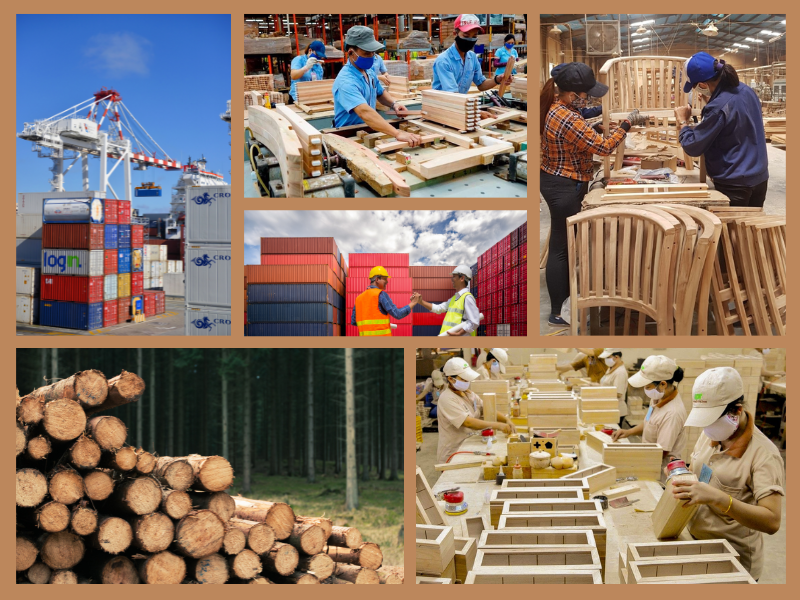 Trang Thông Tin Xuất Nhập Khẩu IMEX NEWS