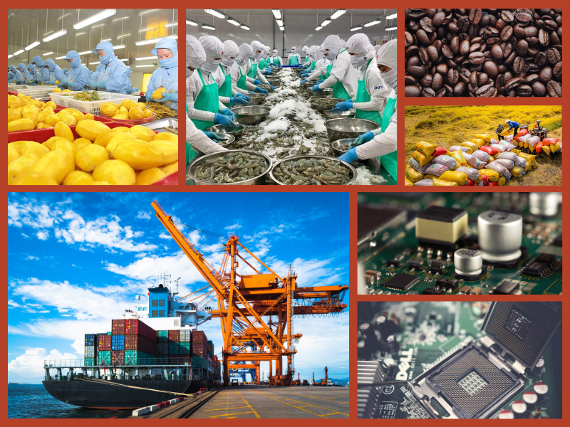 Trang Thông Tin Xuất Nhập Khẩu IMEX NEWS