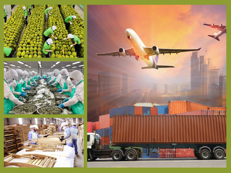 Trang Thông Tin Xuất Nhập Khẩu IMEX NEWS