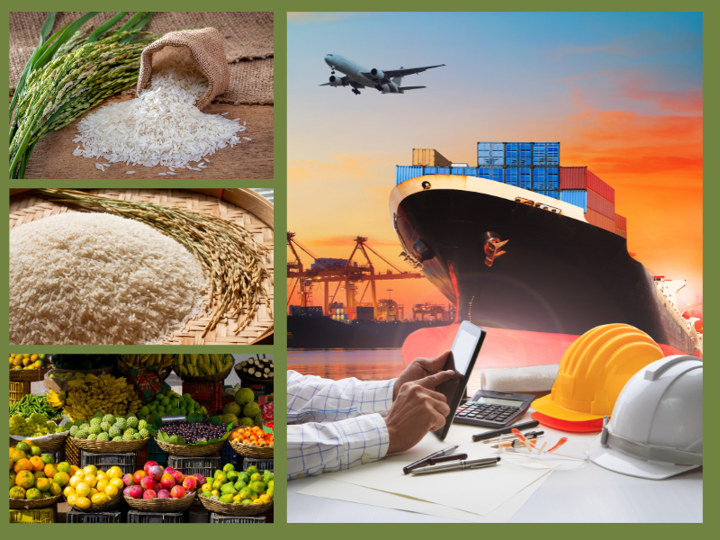 Trang Thông Tin Xuất Nhập Khẩu IMEX NEWS