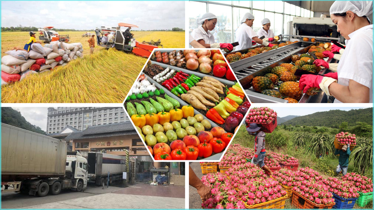 Trang Thông Tin Xuất Nhập Khẩu IMEX NEWS