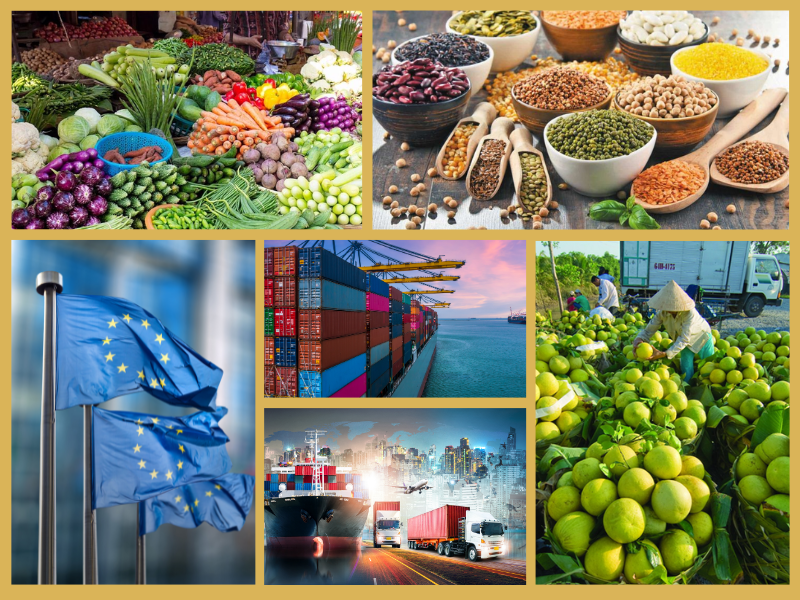 Trang Thông Tin Xuất Nhập Khẩu IMEX NEWS