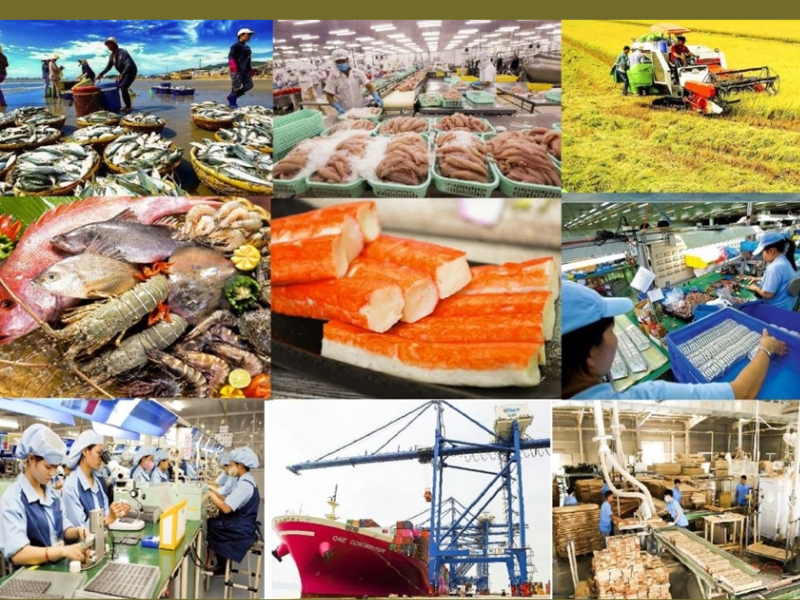 Trang Thông Tin Xuất Nhập Khẩu IMEX NEWS