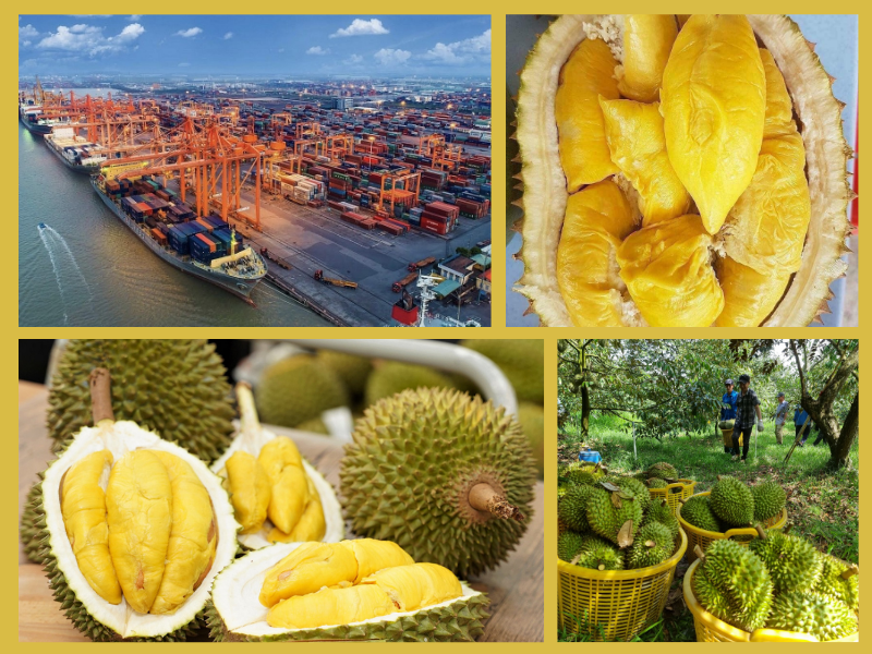 Trang Thông Tin Xuất Nhập Khẩu IMEX NEWS